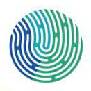 Discover Assessments